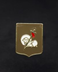 PIN ESCUDO BELAUNZA