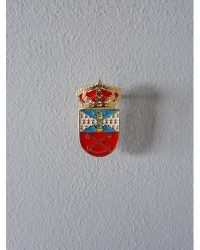 PIN ESCUDO BURUJÓN