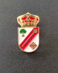 PIN ESCUDO ILLANA