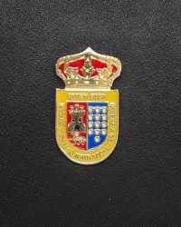 pin escudo roa