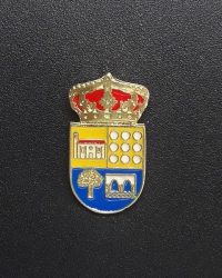pin escudo burgohondo