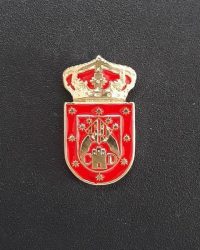 pin escudo caudete