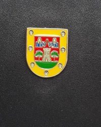 pin escudo salas de los infantes