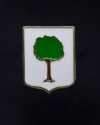 PIN ESCUDO BERROBI