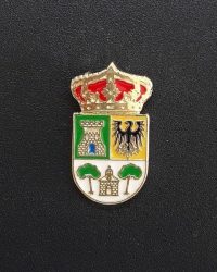 pin escudo cenizate
