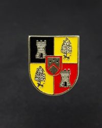 PIN ESCUDO BIDEGOYAN