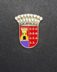 pin escudo lantaron