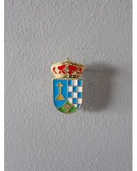 PIN ESCUDO CAREUELA