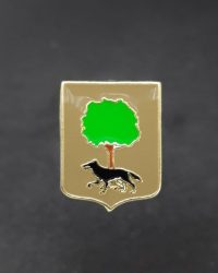 PIN ESCUDO CERÁIN