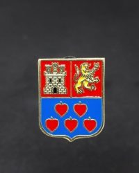 PIN ESCUDO CESTONA
