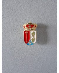 PIN ESCUDO CAMARENA