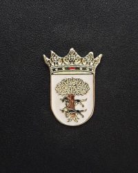pin escudo llodio