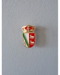PIN ESCUDO CAMPILLO DE LA JARA