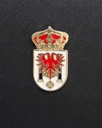 PIN ESCUDO BROZAS