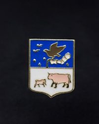 PIN ESCUDO ELDUAYEN