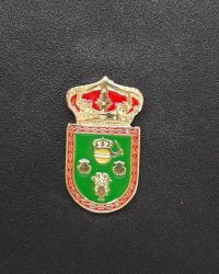 pin escudo oyon