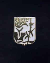 PIN ESCUDO ELGUETA