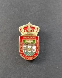 carracedelo escudo