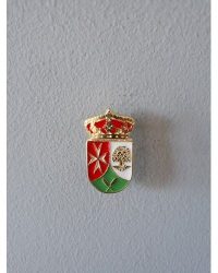 PIN ESCUDO CARRANQUE