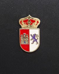PIN ESCUDO CÁCERES