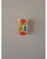 PIN ESCUDO CARRICHES