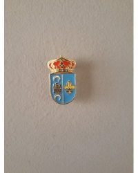 PIN ESCUDO CASARRUBIOS DEL MONTE