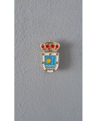 PIN ESCUDO CAZALEGAS