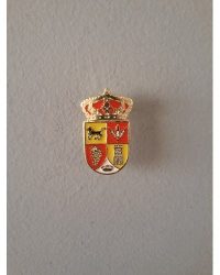 PIN ESCUDO CEDILLO DEL CONDADO