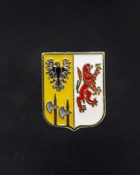 PIN ESCUDO ICAZTEGUIETA