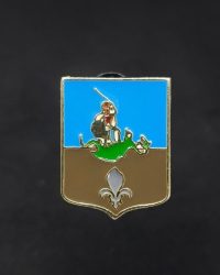 PIN ESCUDO ICHASO