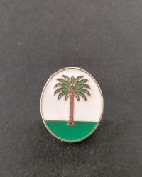 es migjorn gran escudo