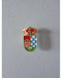 PIN ESCUDO ALCAÑIZO