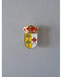 PIN ESCUDO CIRUELOS