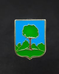 PIN ESCUDO IRURA