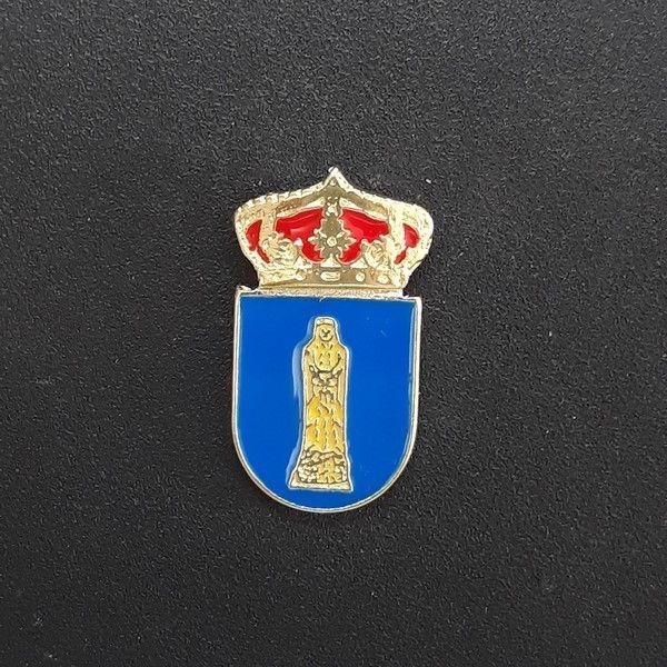 pin escudo montealegre del castillo