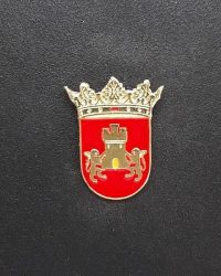 pin escudo zuya