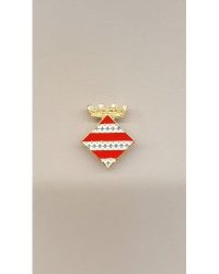 pin escudo palafolls