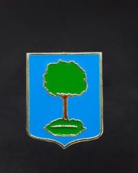 PIN ESCUDO ISASONDO