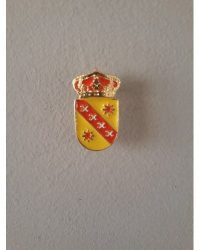 PIN ESCUDO COBISA