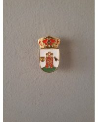 PIN ESCUDO CUERVA