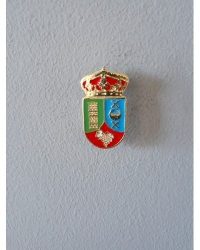 PIN ESCUDO ERUSTES