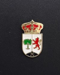 PIN ESCUDO AHIGAL