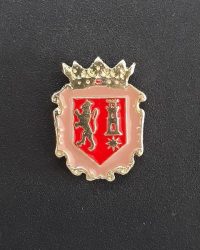 PIN ESCUDO ALBERITE