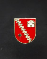 PIN ESCUDO LIZARZA