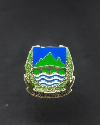 PIN ESCUDO MENDARO