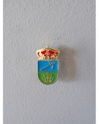 PIN ESCUDO ESPINOSO DEL REY