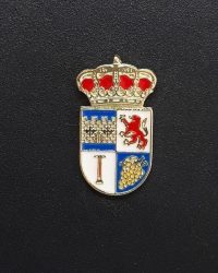 PIN ESCUDO CECLAVÍN