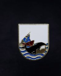 PIN ESCUDO MOTRICO