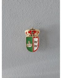 PIN ESCUDO FUENSALIDA