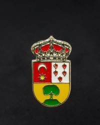 PIN ESCUDO OLABERRÍA